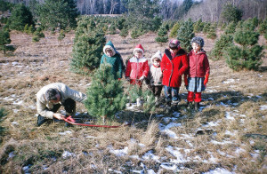 First Cut-Your-Own 1963